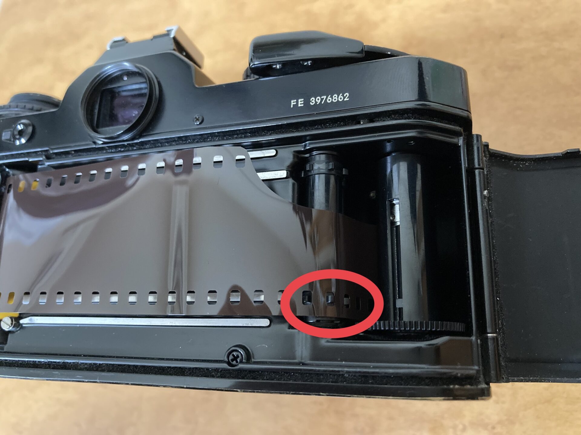 フィルムカメラの基本的な操作方法を「Nikon FE」を使って紹介します 