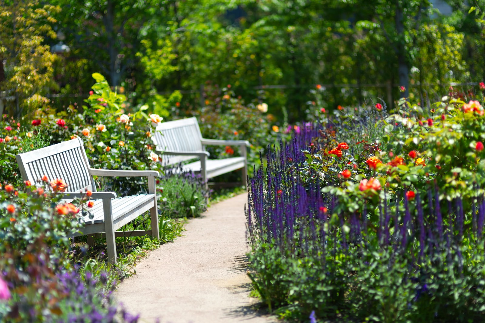 四季折々の花を楽しめる 大阪にあるおすすめの植物園を紹介します タクログ