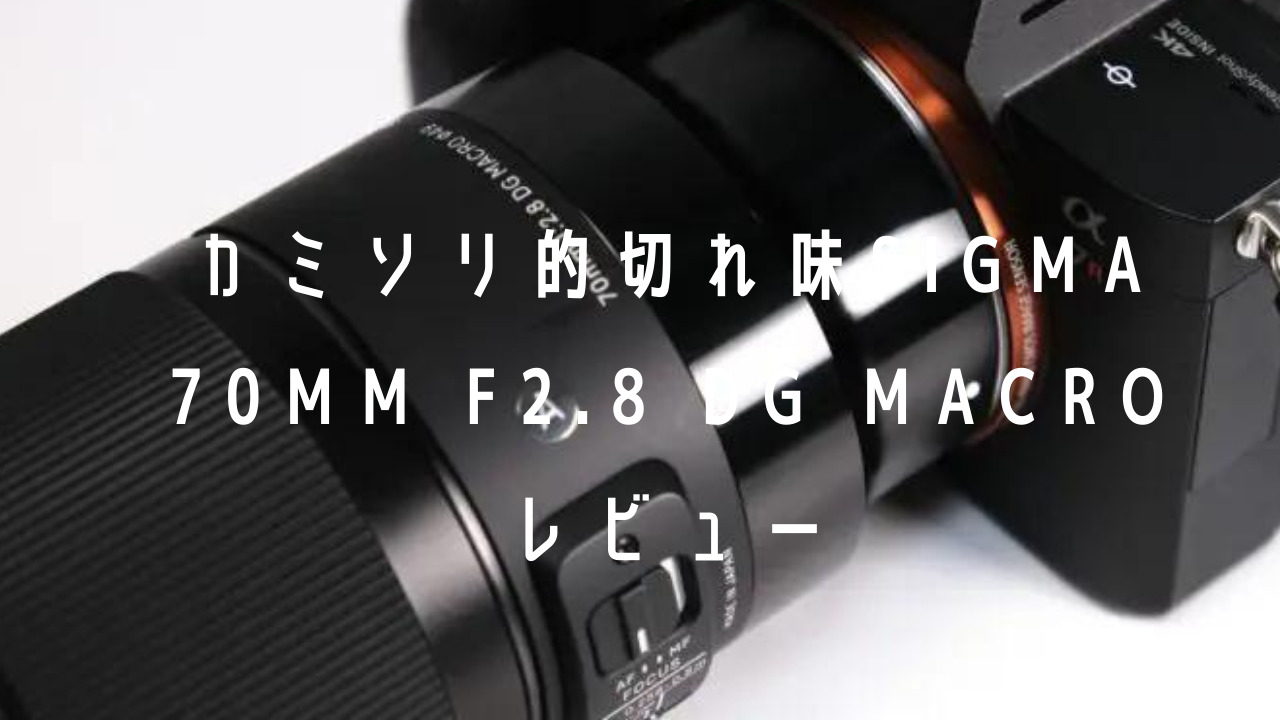 美品 シグマ 70mmF2.8 カミソリマクロ ソニーFE用 - レンズ(単焦点)