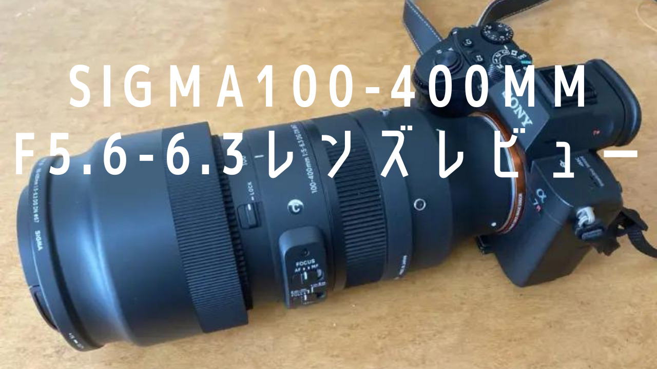 作例あり】SIGMA 100-400mm F5-6.3 DG DN OS レビュー - 銀塩日記