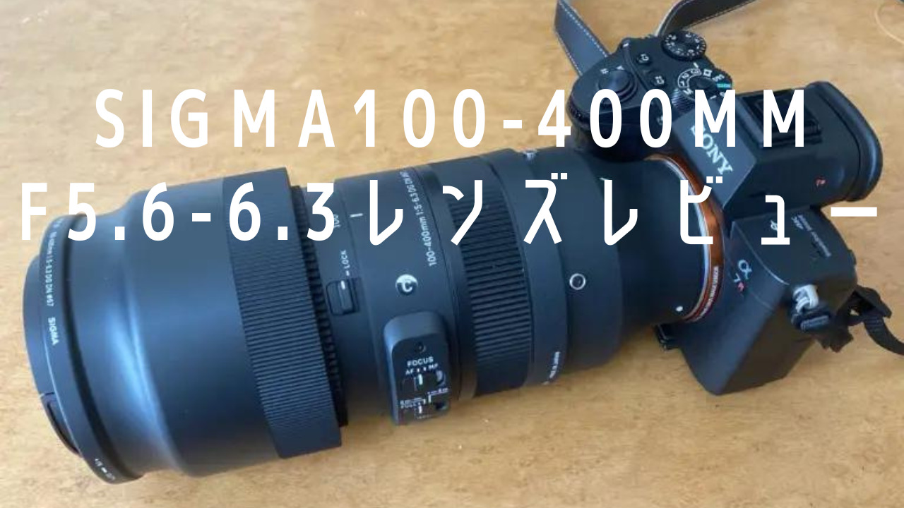 シグマ　100-400mm F5.6-6.3をレンズレビュー