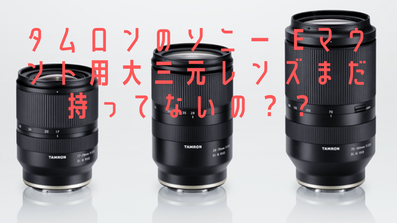 SONY α7Ⅳ 大三元ほか - デジタルカメラ