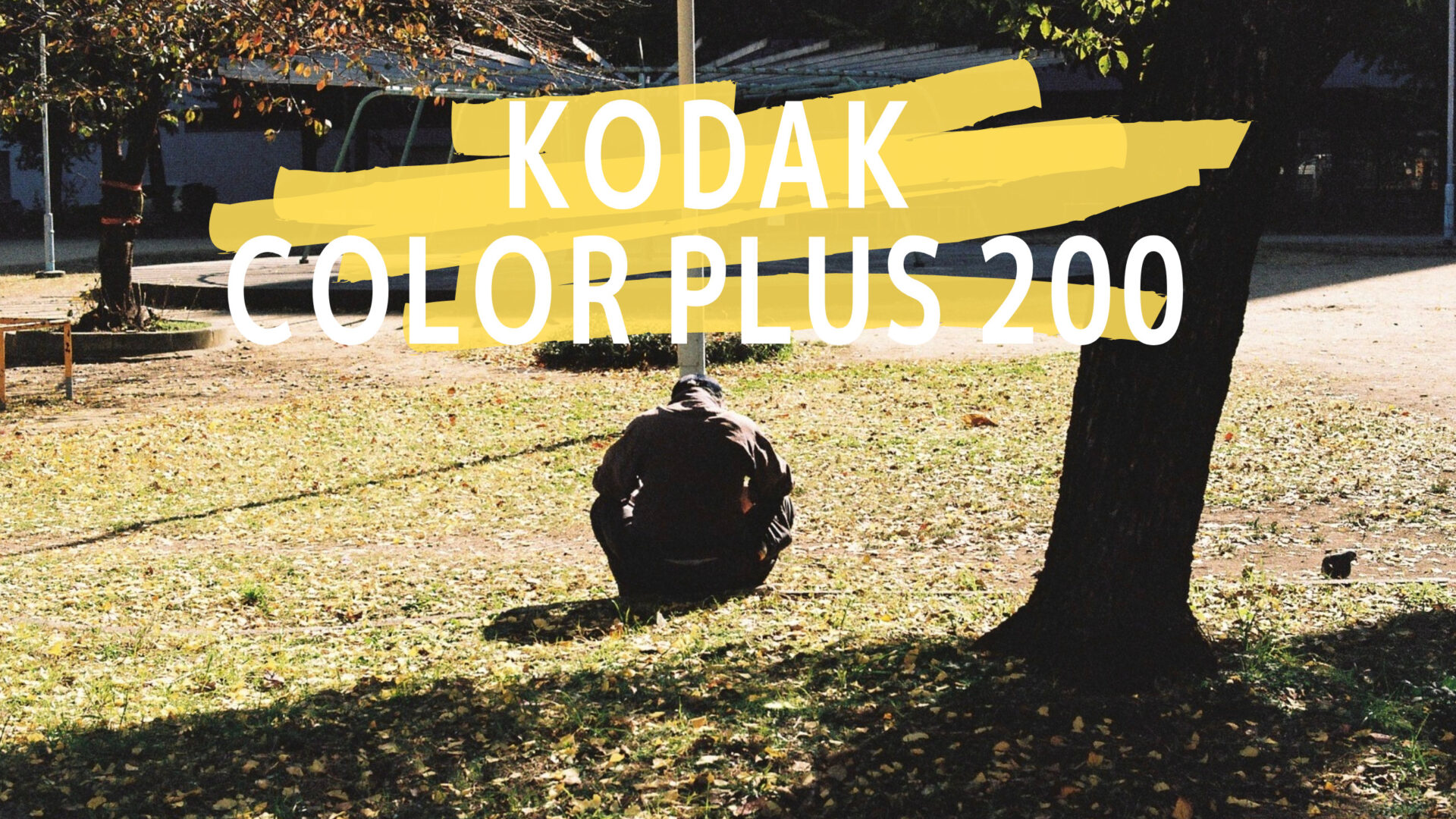 Kodak Color Plus200 作例とレビュー