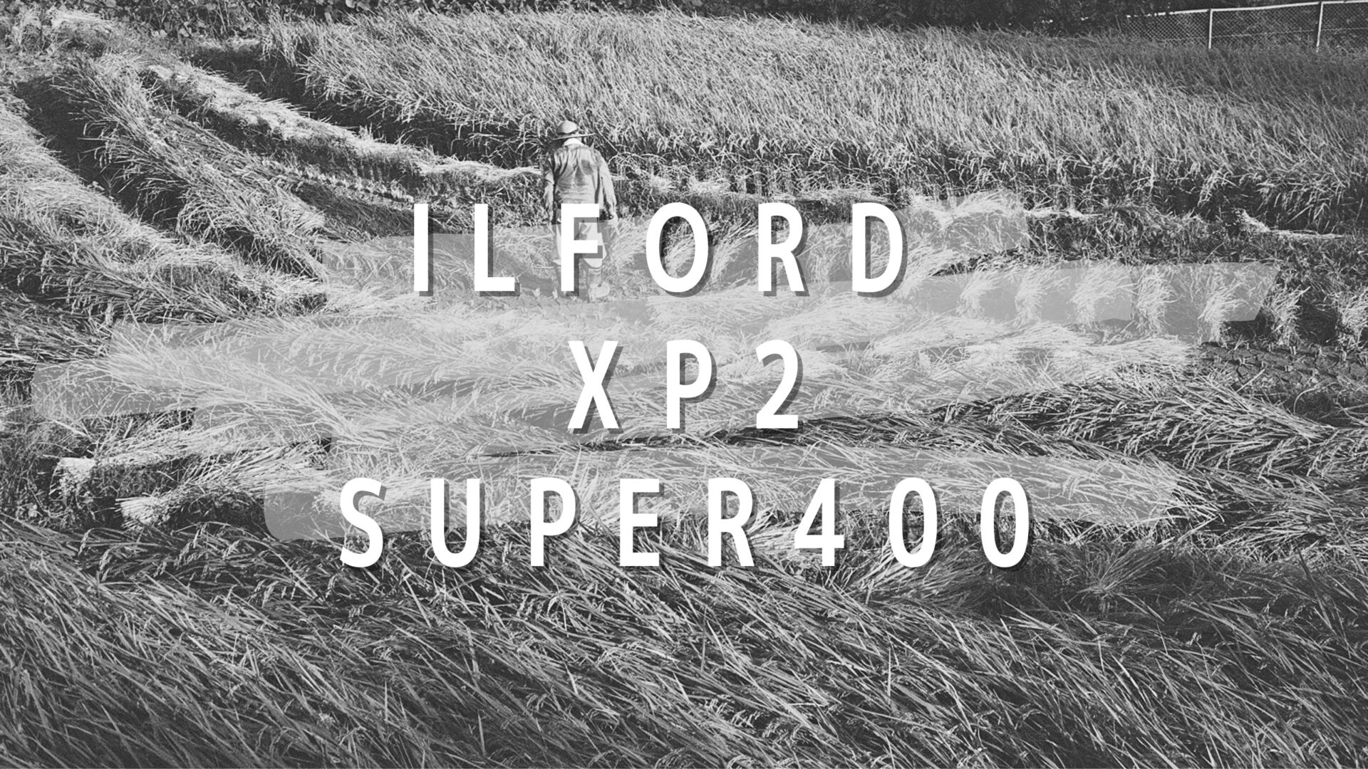 XP2 Super400