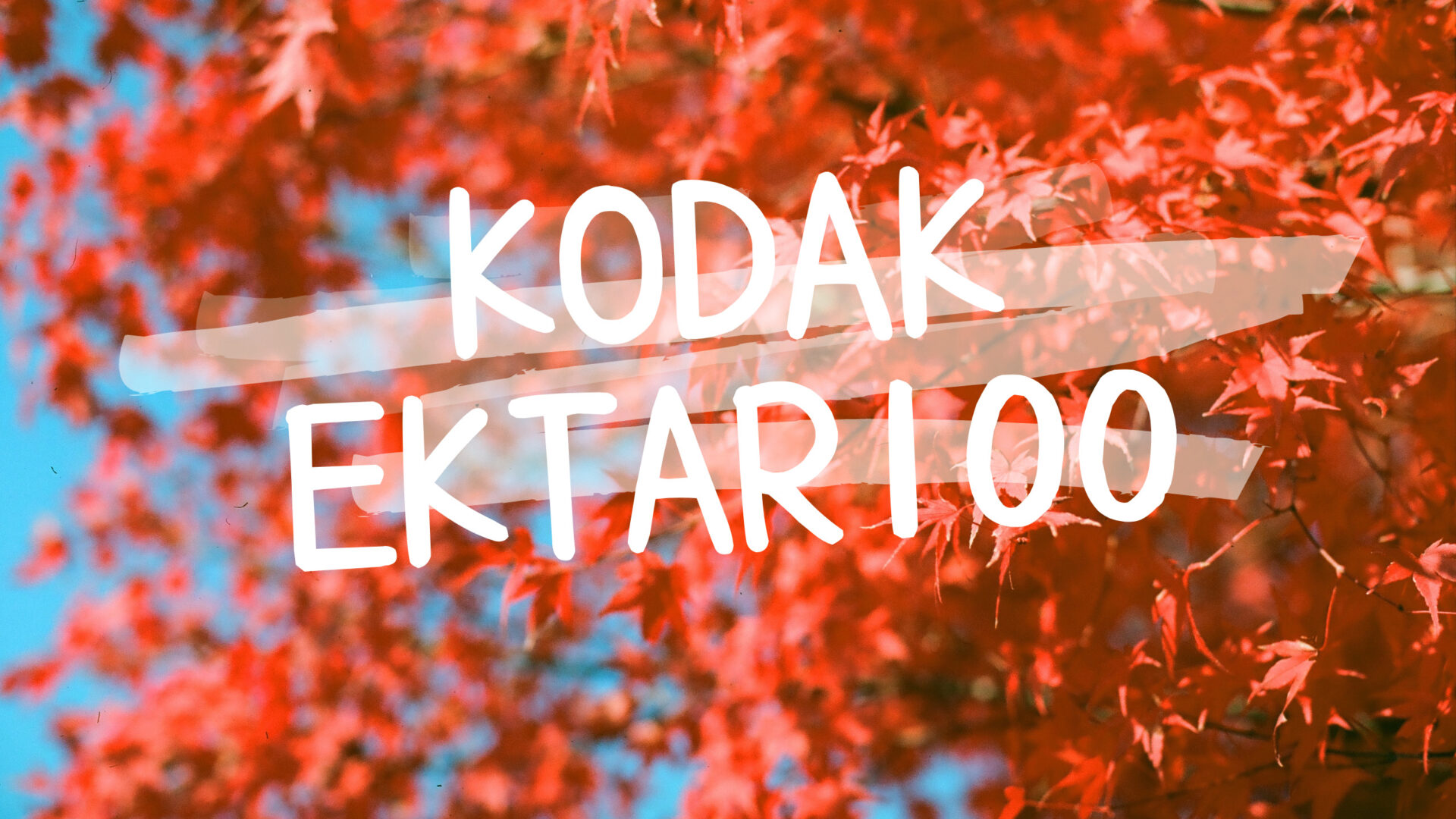 Kodak Ektar100