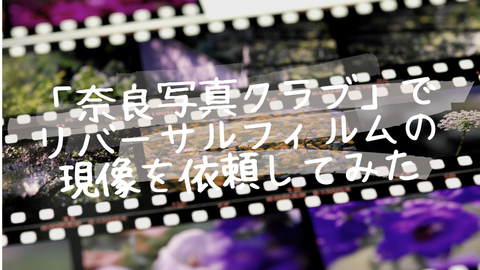 奈良写真クラブでリバーサルフィルムを現像してみた